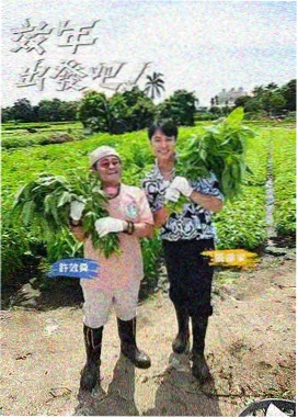 上手友好度第三名作品配图